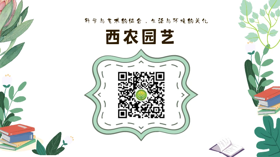 制定篮球交流计划以促进个人技能发展的方法_0